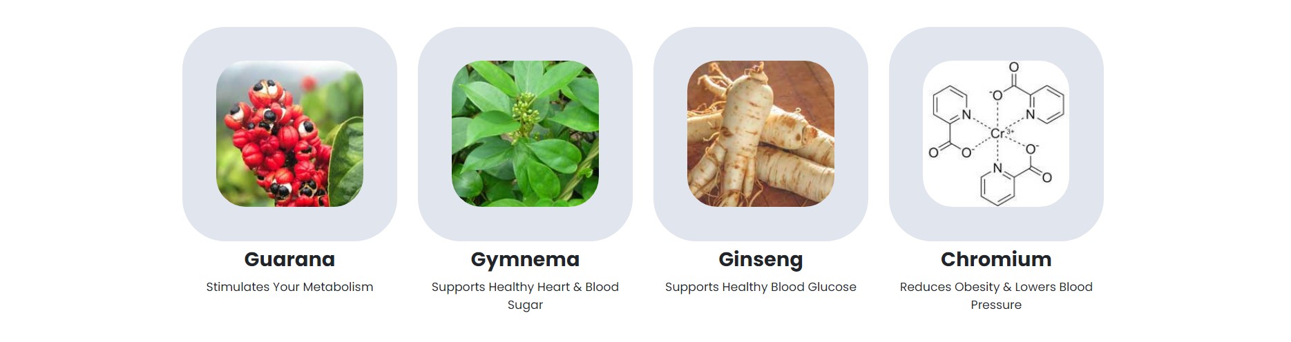 sugar defender tincture